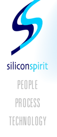 SiliconSpirit: People, Process, Technology